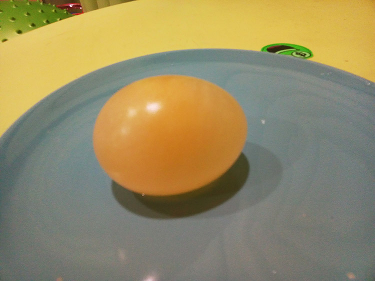 Опыт Резиновое яйцо. Шаг 4