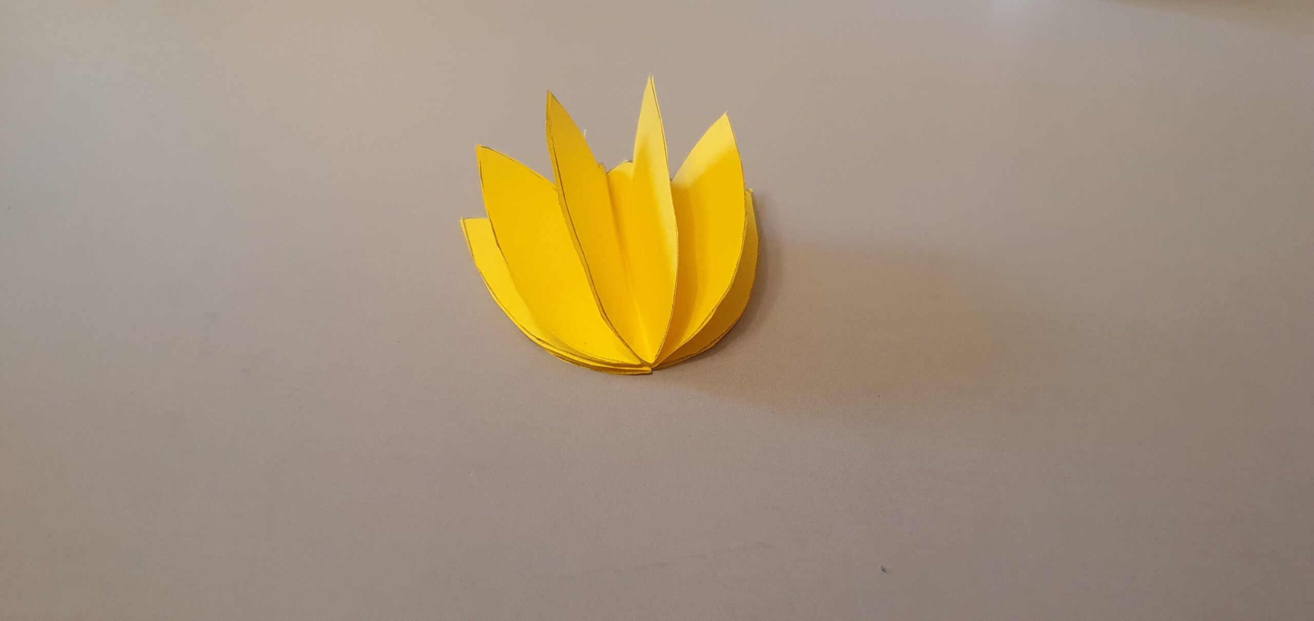 3D-открытка из тюльпанов. Шаг 8