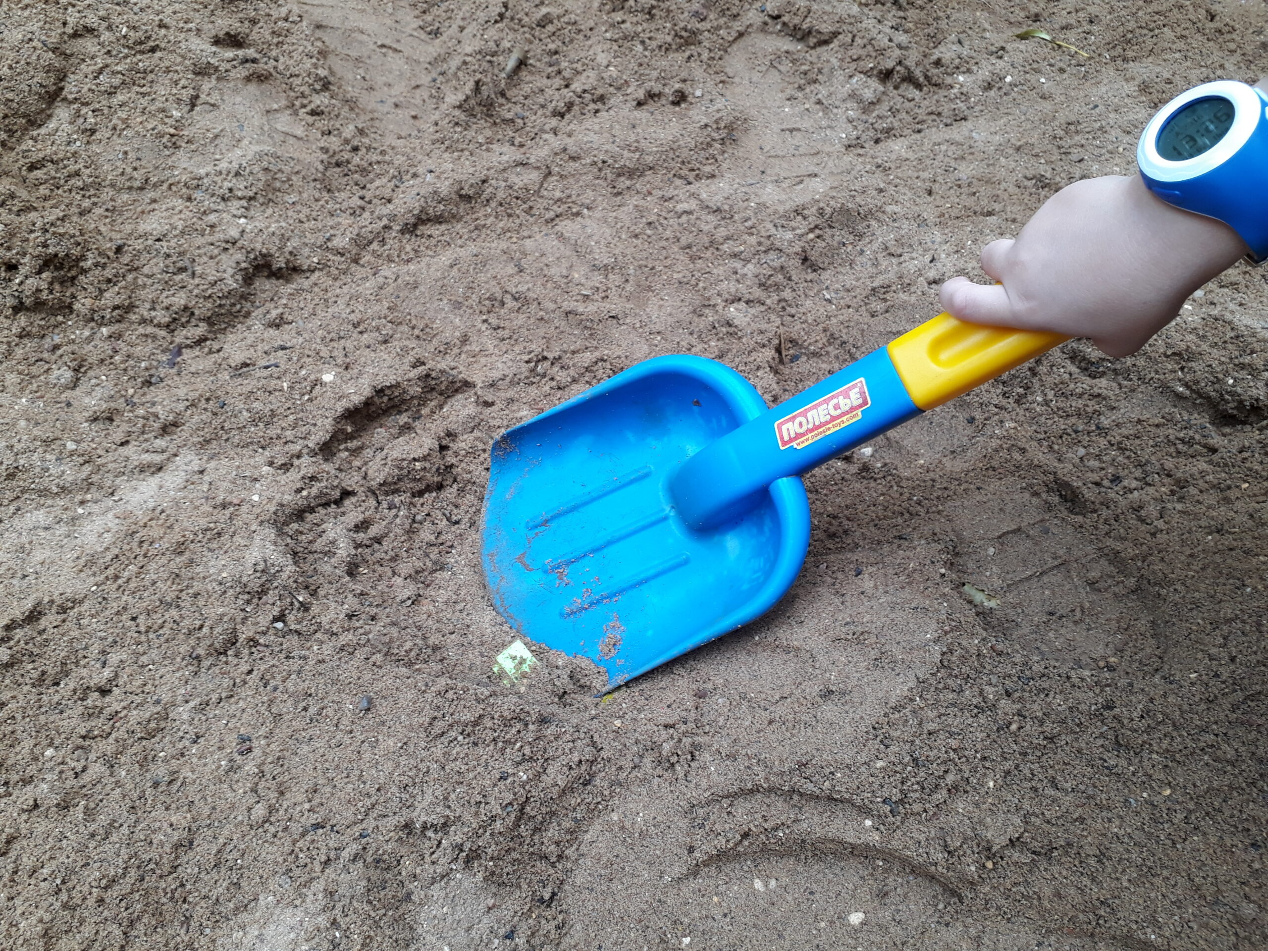 Поиски сокровищ в песке на пляже